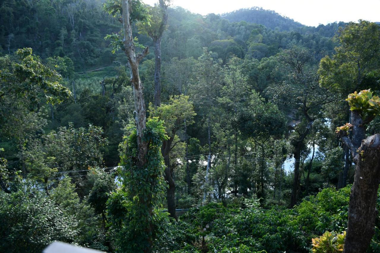 River View Guest House Madikeri Exteriér fotografie
