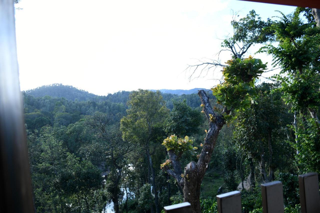 River View Guest House Madikeri Exteriér fotografie